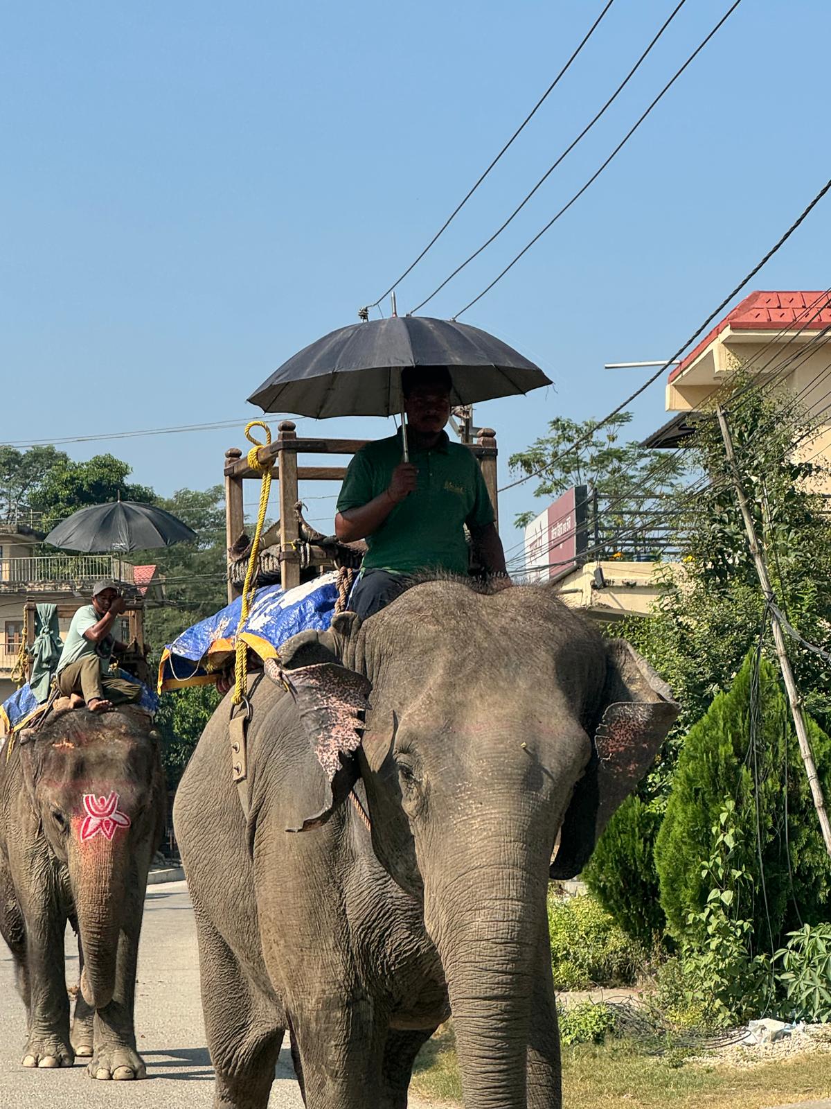 Everest Base Camp Trekking | Trekking In Nepal |